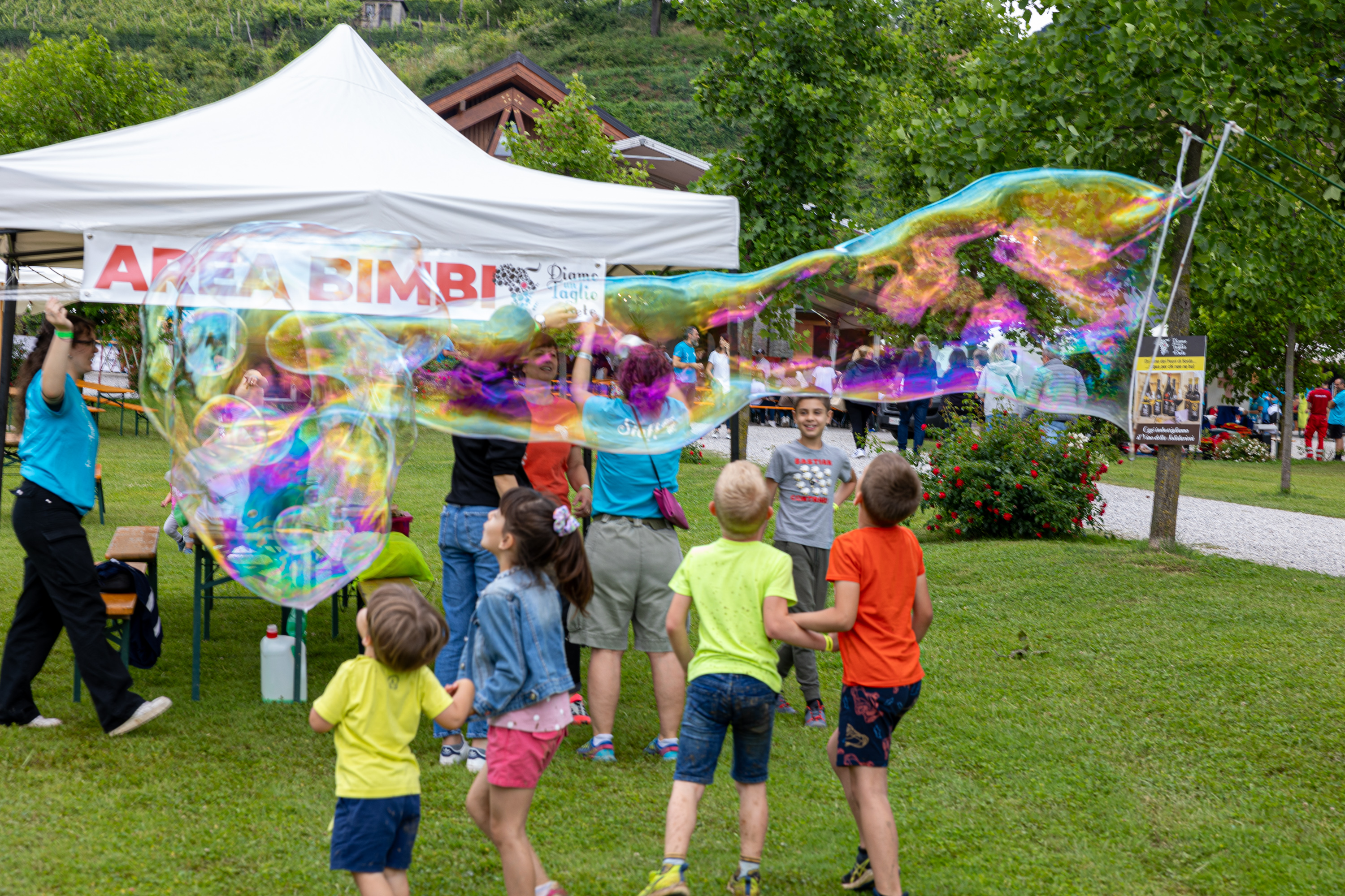 FESTA 2024